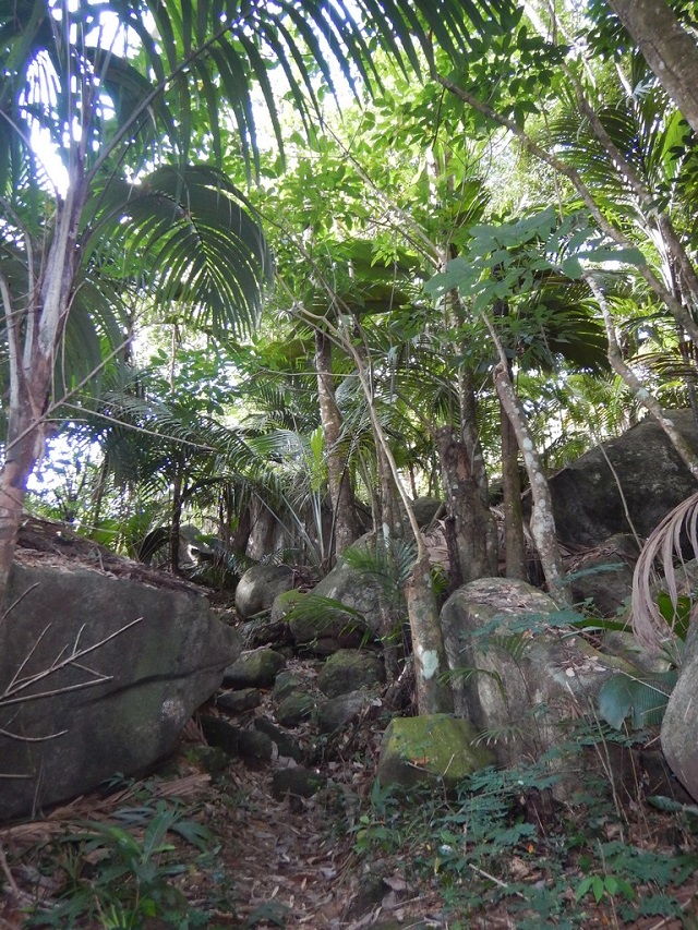 4 reasons to make the trek along the Jardin Marron trail in Seychelles