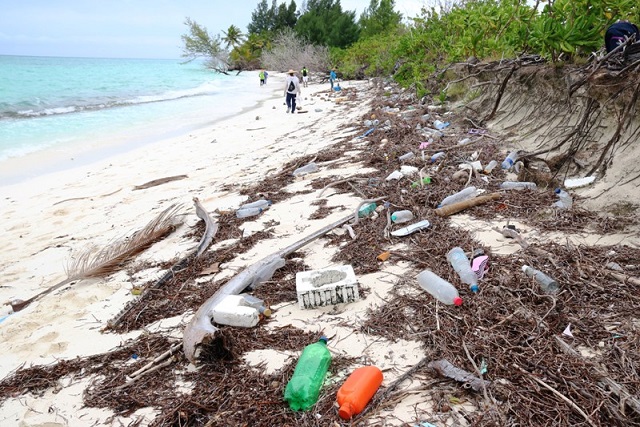 10 tonnes of waste — mostly from other countries — collected in massive beach clean-up in Seychelles