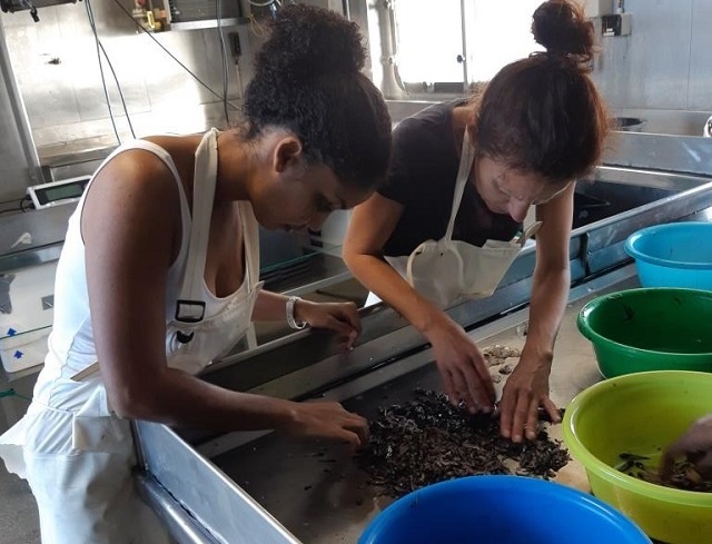2 Seychellois women awarded fellowships to Oxford to advance study of marine science