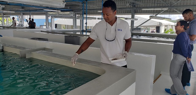 Industrial aquaculture begins in Seychelles as broodstock, acclimation and quarantine facility opens