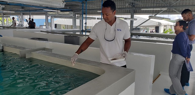 Industrial aquaculture begins in Seychelles as broodstock, acclimation and quarantine facility opens Industrial aquaculture begins in Seychelles as broodstock, acclimation and quarantine facility opens