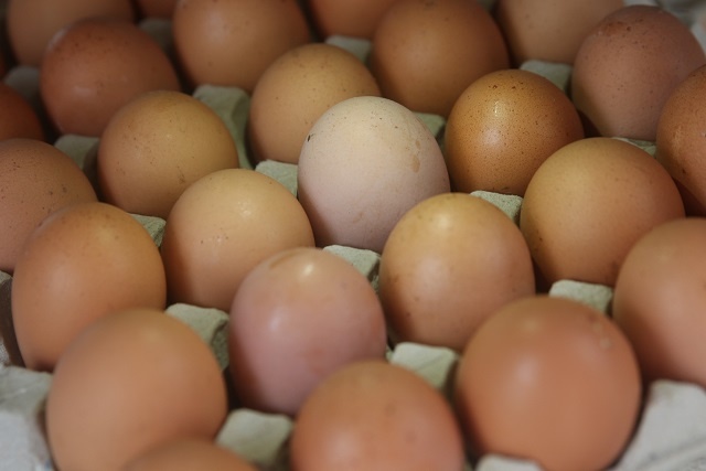 With no omelette-eating tourists, poultry farmers in Seychelles struggle to sell eggs, keep hens