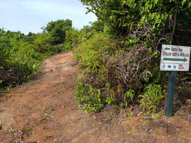 Seychelles National Parks staff clear nature trails during tourism low point