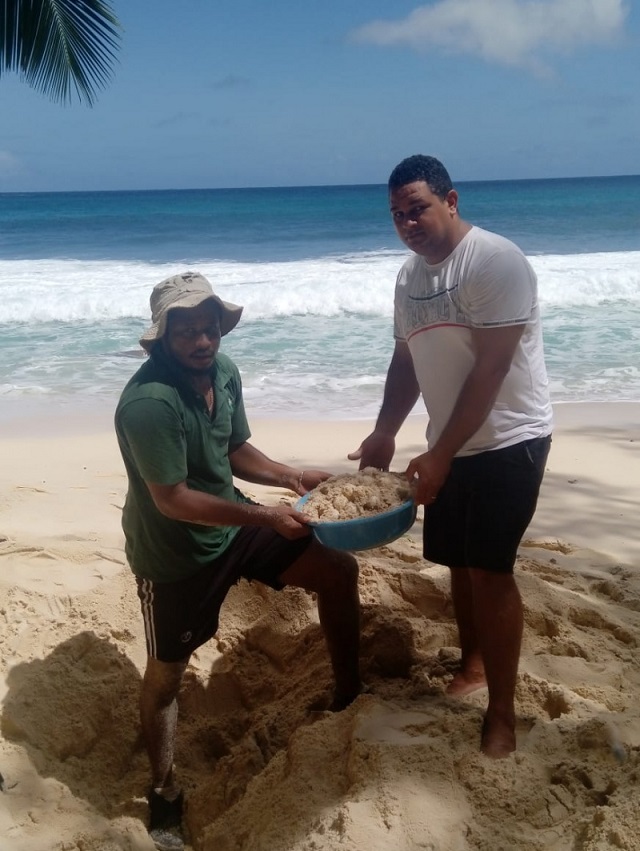 Teens in Seychelles can assist turtle monitoring programme, help fight poaching