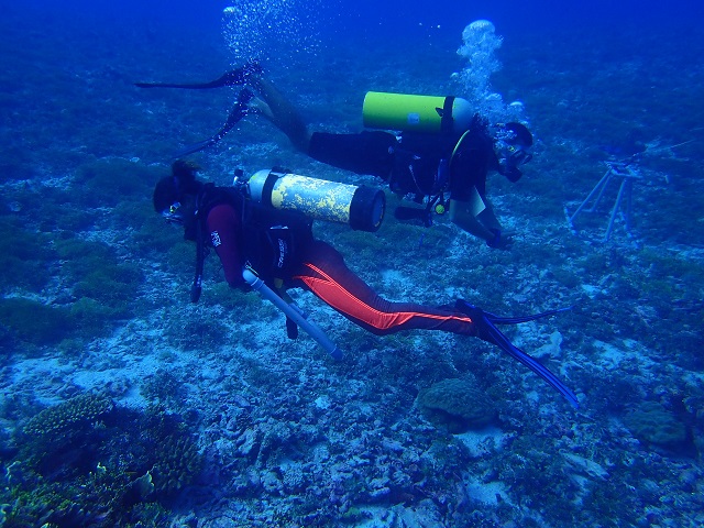 All-women team of divers works to monitor health of Seychelles’ coral