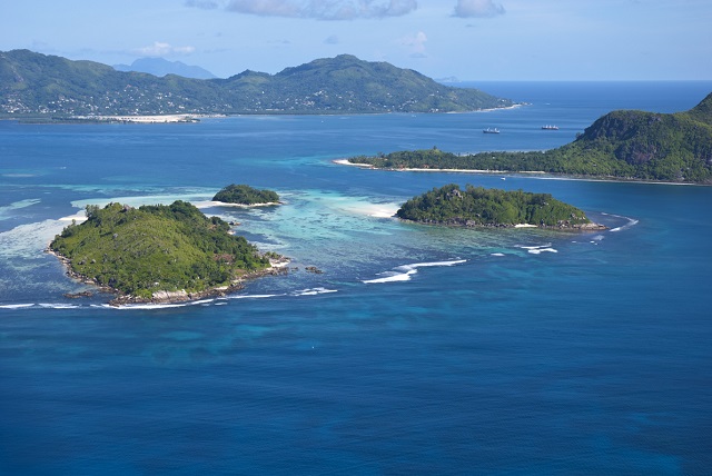 Marine Conservation Society Seychelles restoring reef at Ste Anne Marine National Park
