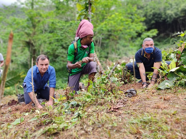 British High Commission plants trees ahead of larger Green Footprint Seychelles campaign British High Commission plants trees ahead of larger Green Footprint Seychelles campaign