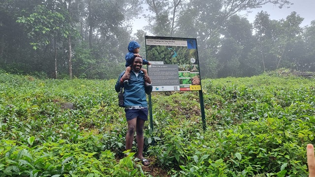 French father and son plant endemic trees in Seychelles to offset carbon footprint for island holiday