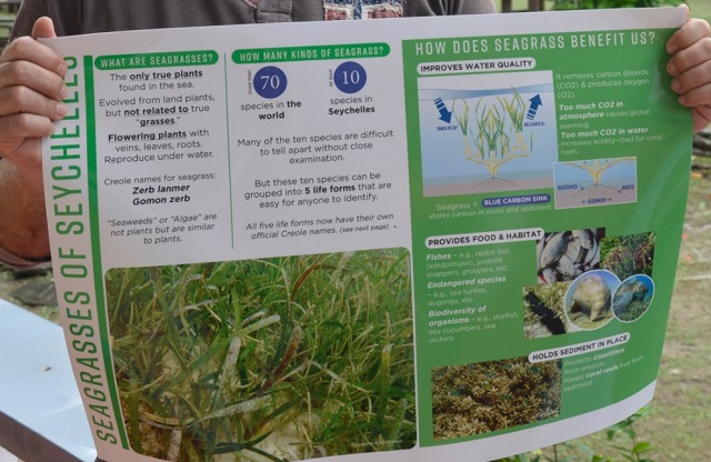 SeyCCAT issues seagrass ID cards for collection of data in Seychelles