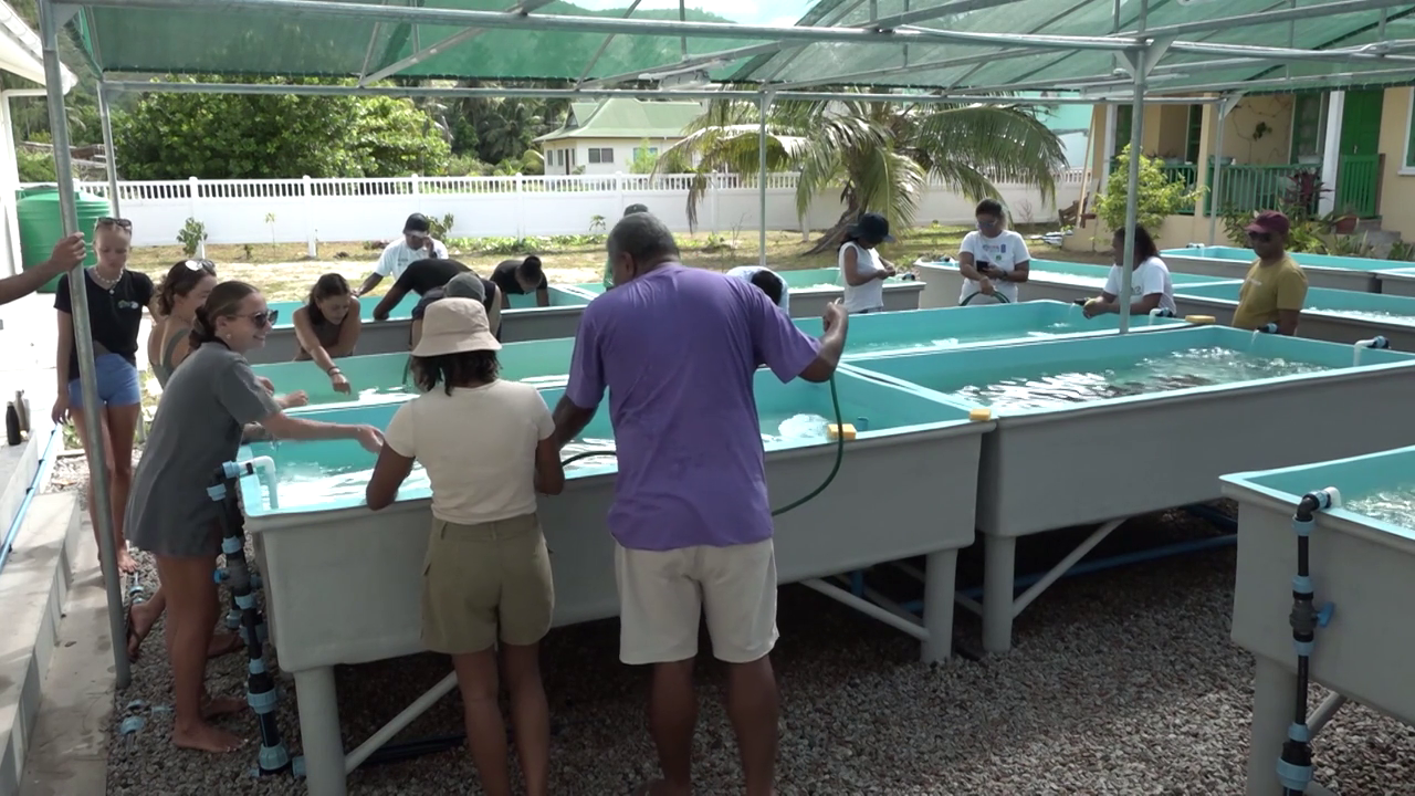 Gouvernman Sesel, Nature Seychelles ek PNUD In Partaz Leksperyans lo Restorasyon Koray