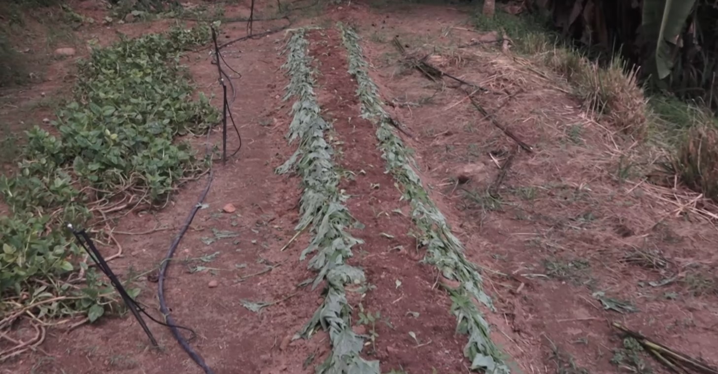 SIAH/Agroecology