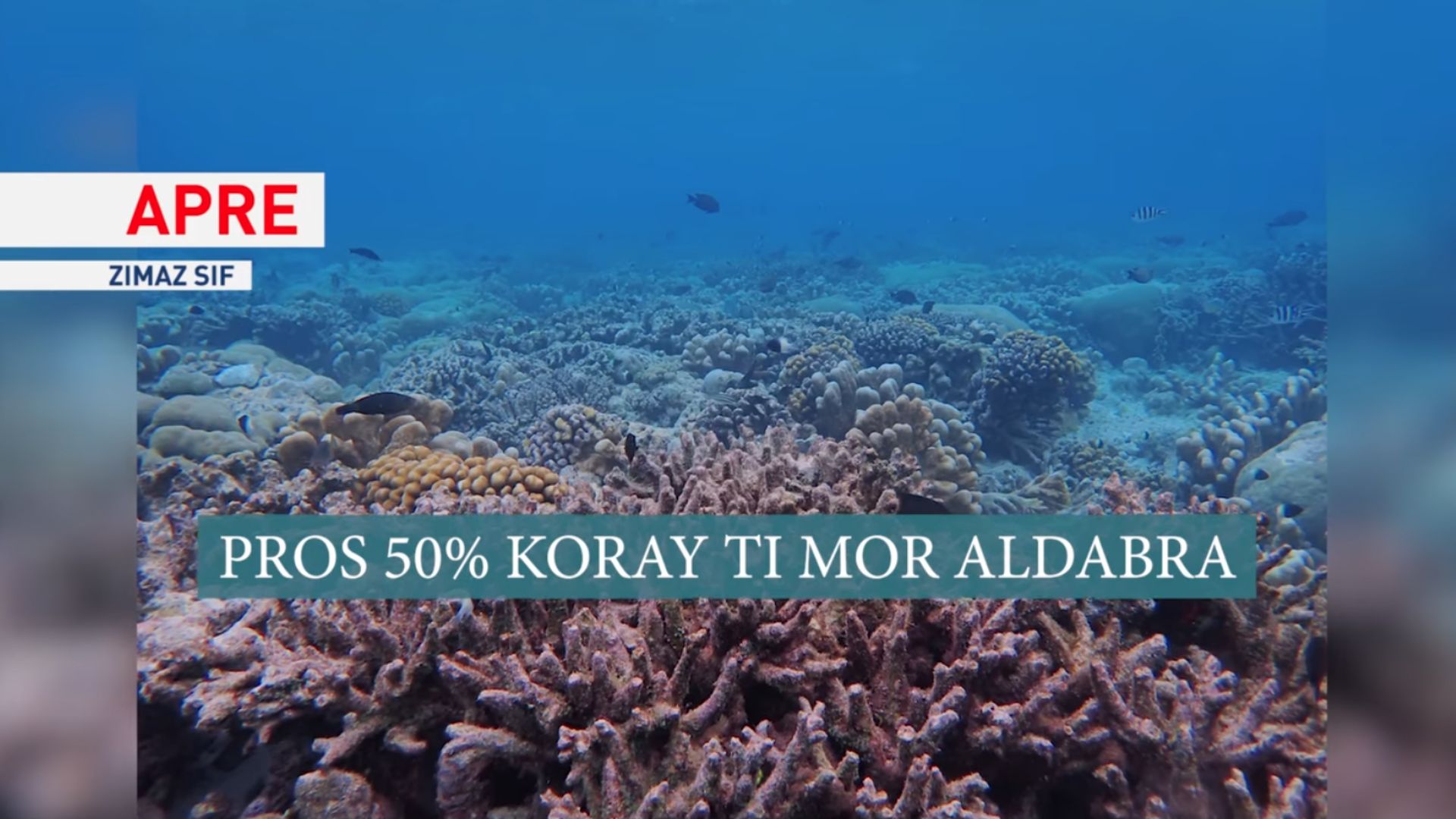 50% bann koray Aldabra in blansi swivan 4triyenm vag blansisman koray ki’n rikorde dan lemonn an 2024 ziska la 2025.