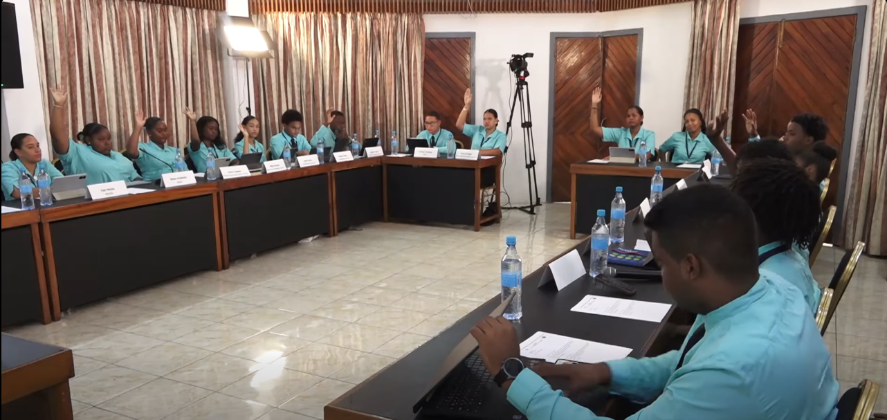 5yenm sesyon Lasanble Nasyonal Lazenes