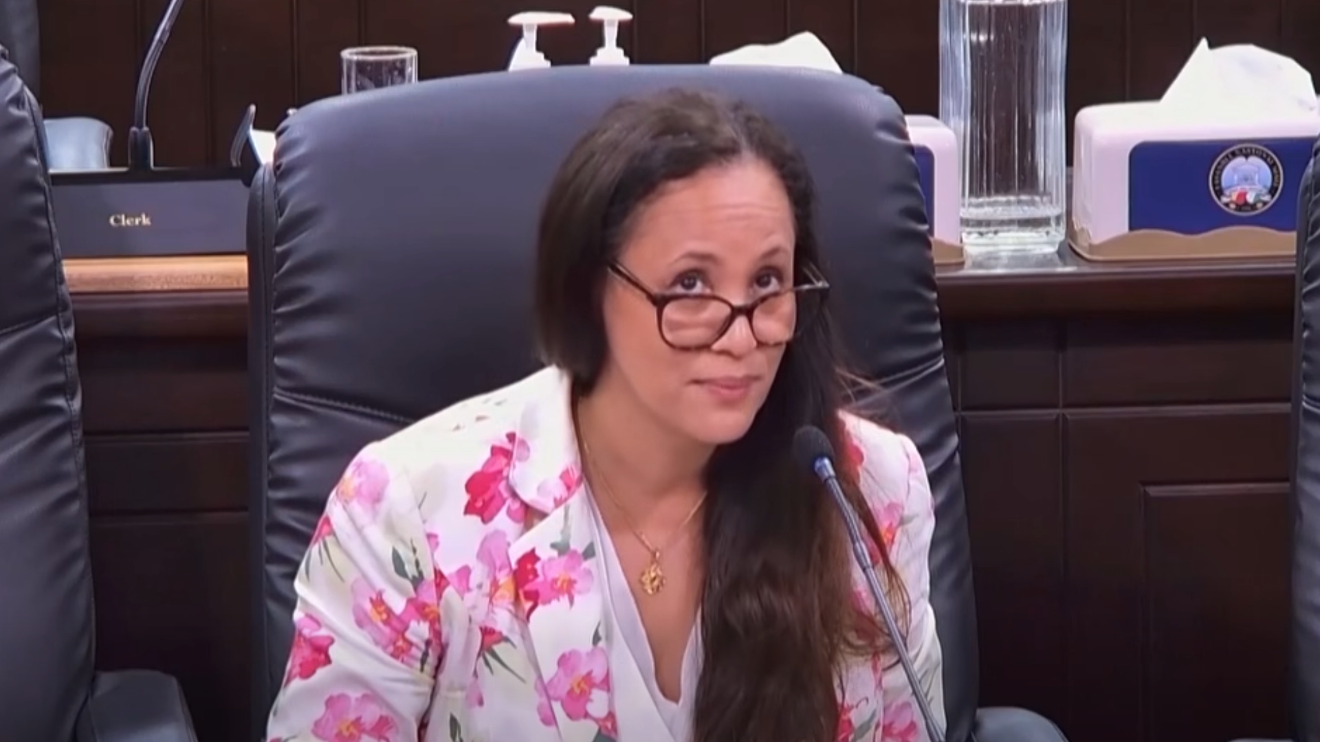 Lasanble Nasyonal in osi aprouv nominasyon Idith Alexander