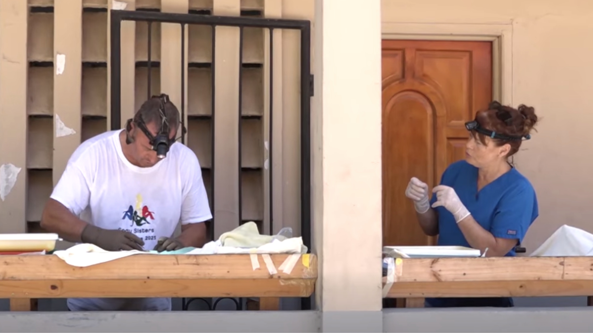 En progranm sterilizasyon pour bann zanimo domestik ki pe fer gratwitman par en group volonter veteriner Britanik