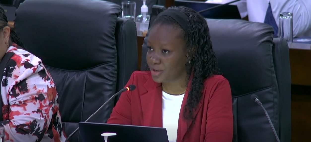 Refleksyon sida ek sourd Lasanble