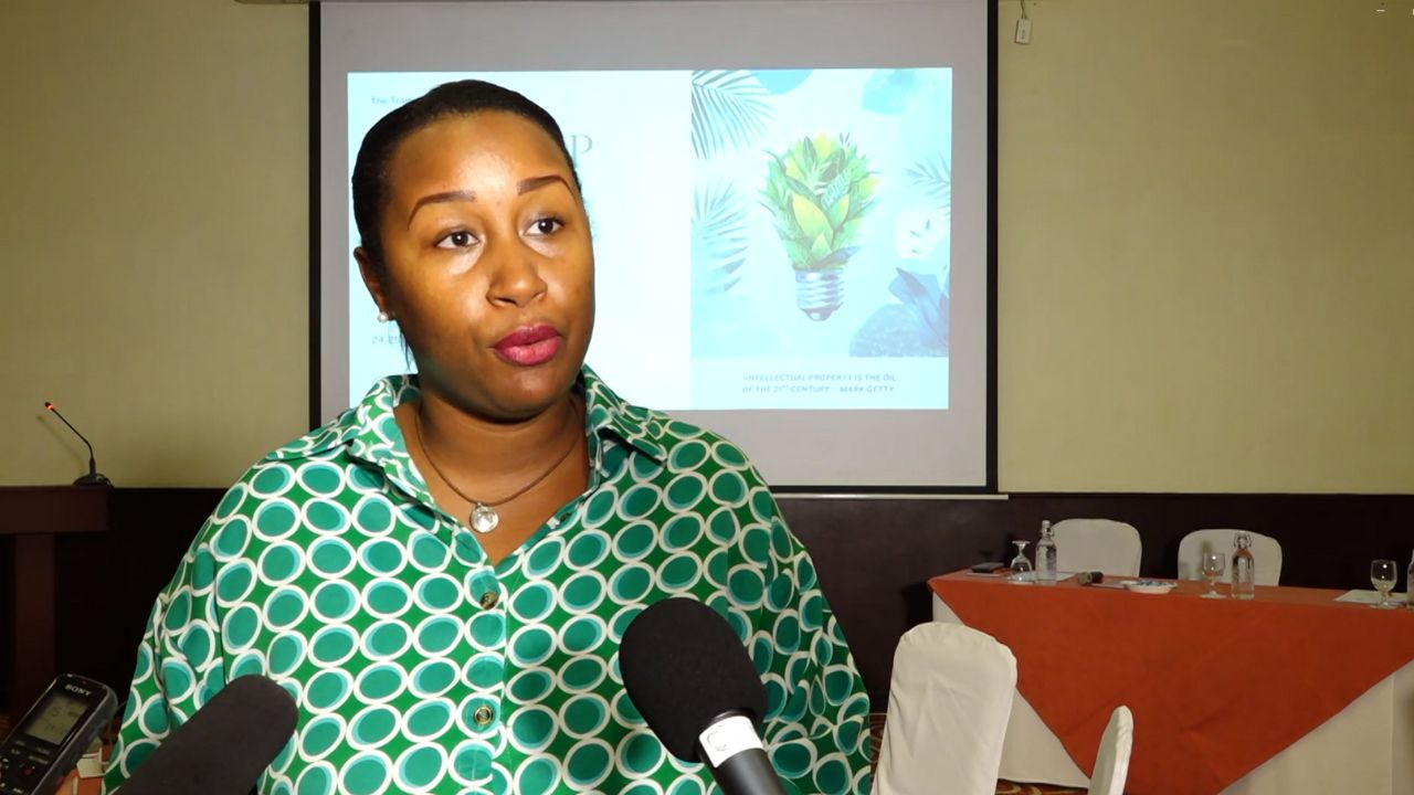 Divizyon Komers in diriz en latelye 2 zour pour validasyon stratezi nasyonal lo propriyete entelektyel.