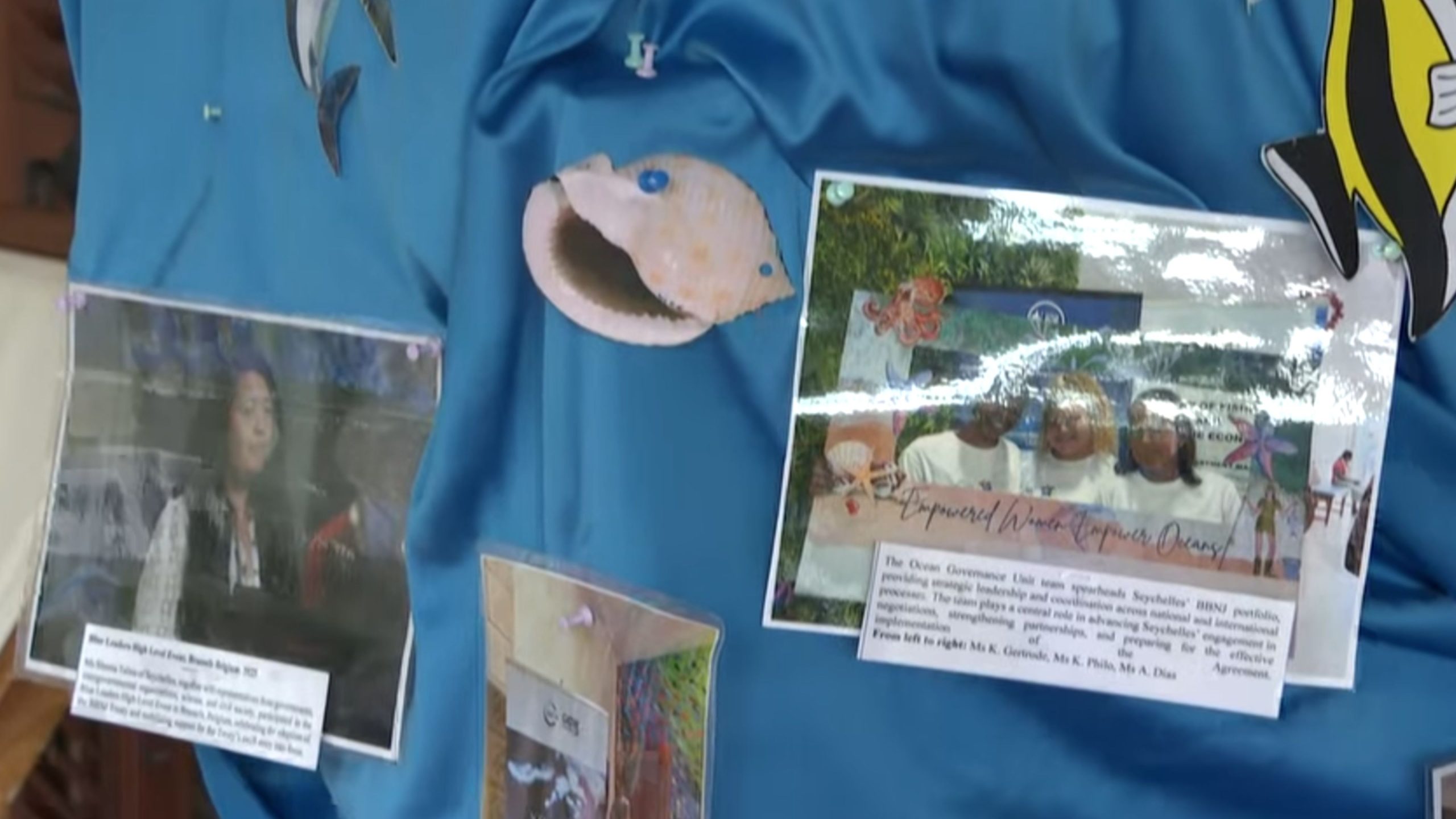 Legzibisyon pour sansibiliz manm piblik an zeneral lo lenportans trete Biodiversite andeor ziridiksyon Nasyonal (BBNJ).