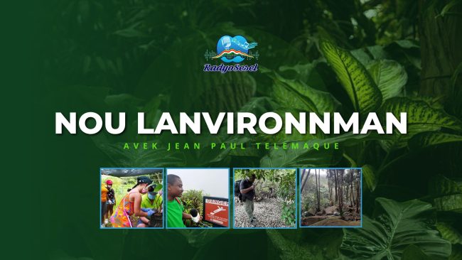 Thumbnail Radio Programmes 2024 (18)