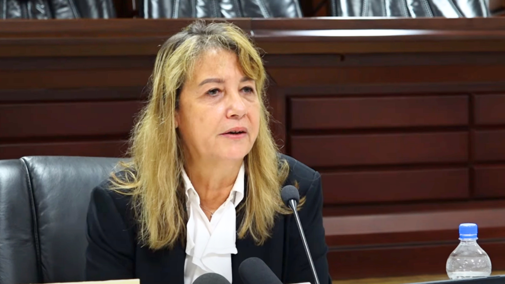 Ziz Mathilda Twomey le sel Komisyoner lo sa komisyon lanket konsernan sa devlopman lotel lo zil Assomption i’n konmans ekout levidans bann temwen yer.