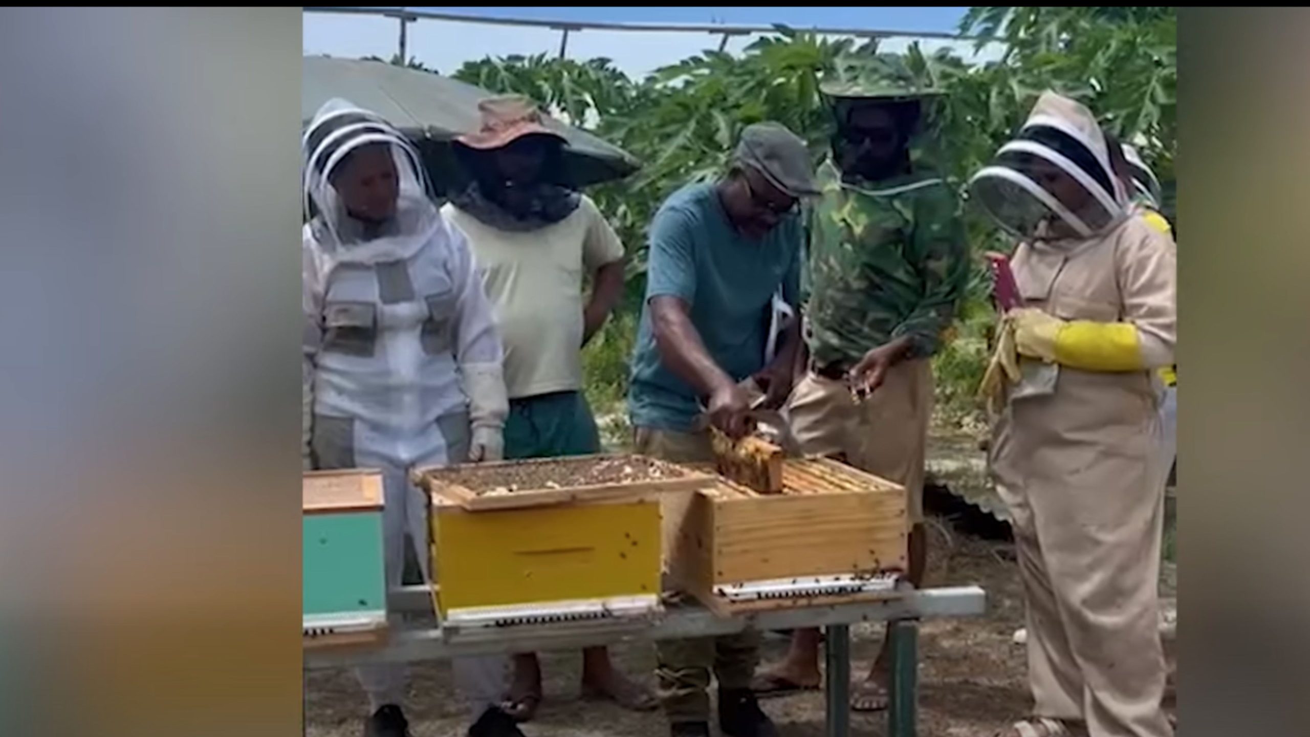 Standar dimyel Sesel i ekspekte bouz lo nivo enternasyonal