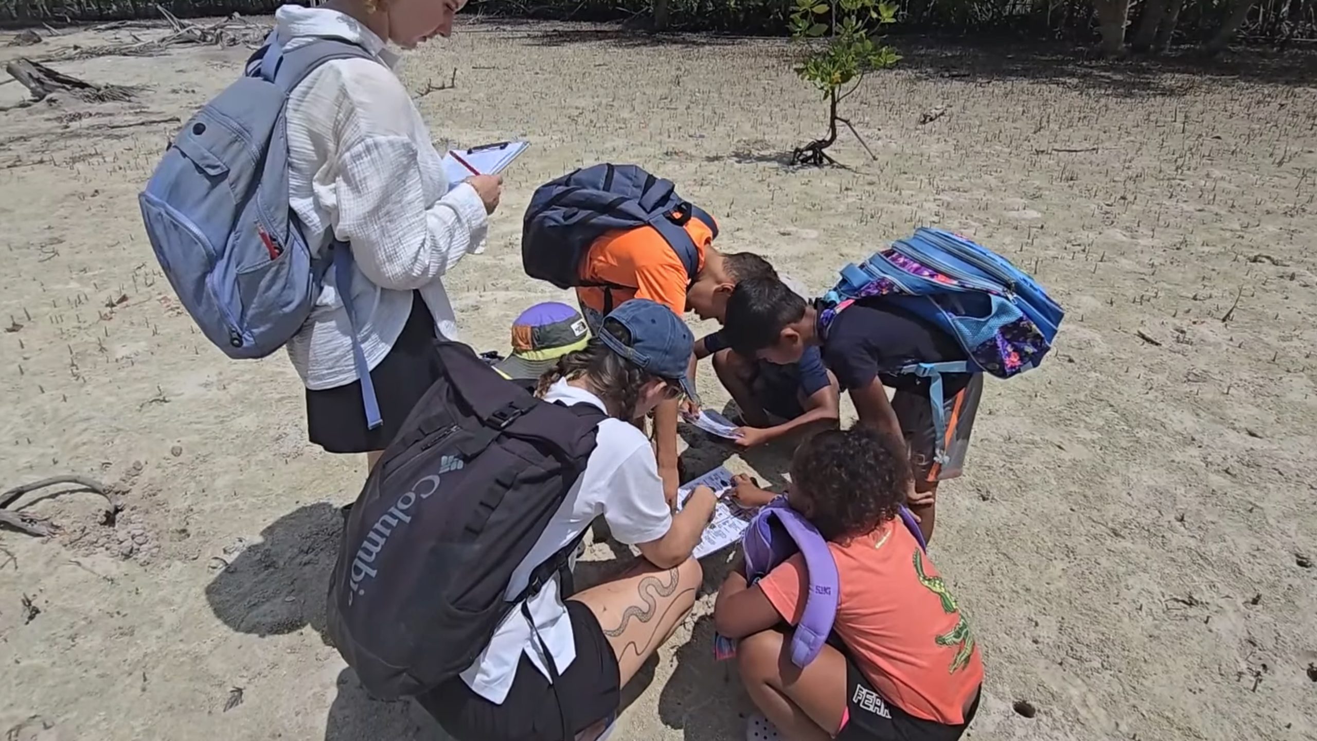 Selebrasyon lazournen lanmar in termin avek en seri aktivite dan park nasyonal Curieuse