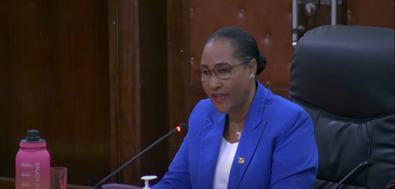 Lasanble Nasyonal in aprouv en bidze tanporer