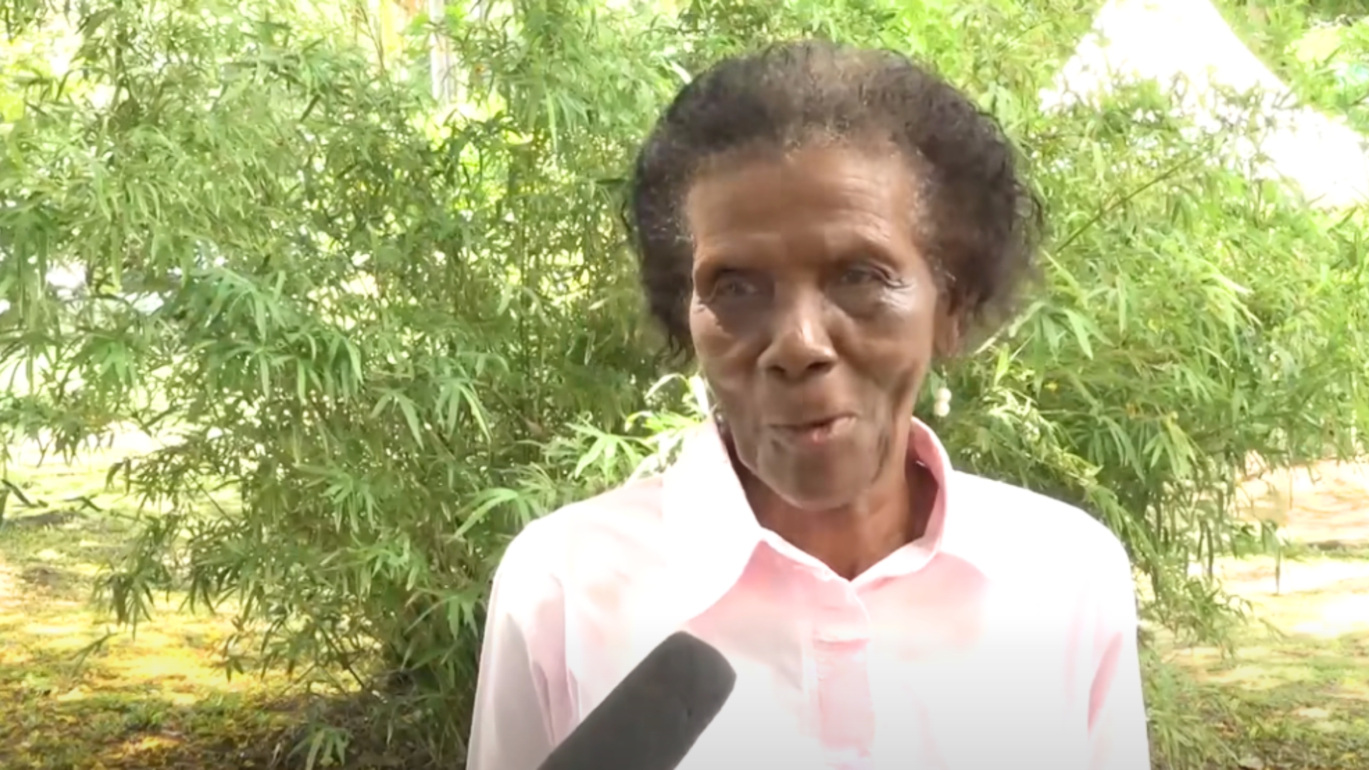 Serten desandans direk bann lesklavaz in asiste seremoni pour komemor labolisyon lesklavaz.