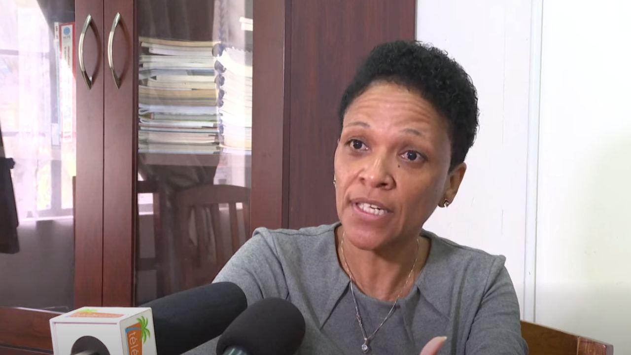 Minister Ledikasyon ek Lazans Swen Lasante in relans tender pour netwayaz zot bann propriyete.