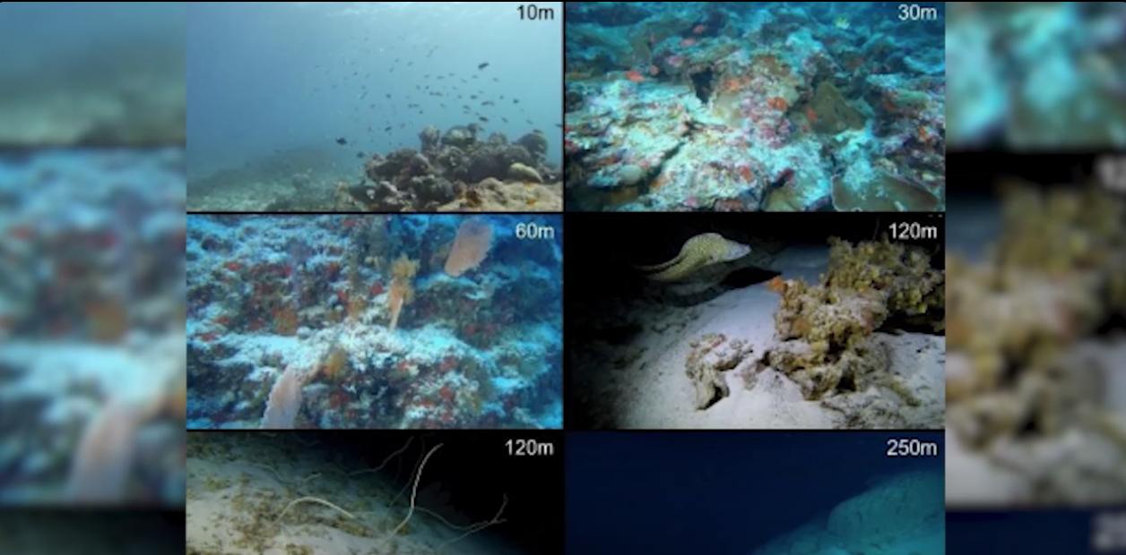 Latelye ‘Deep Sea Lander Expedition’