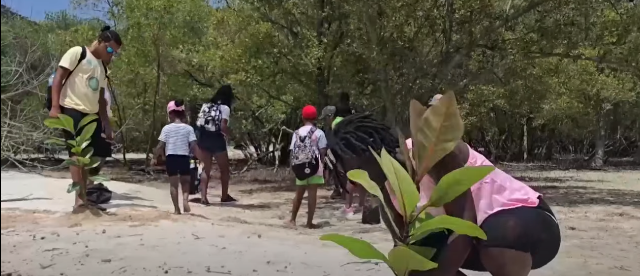 Zil Curieuse  park naysonal.