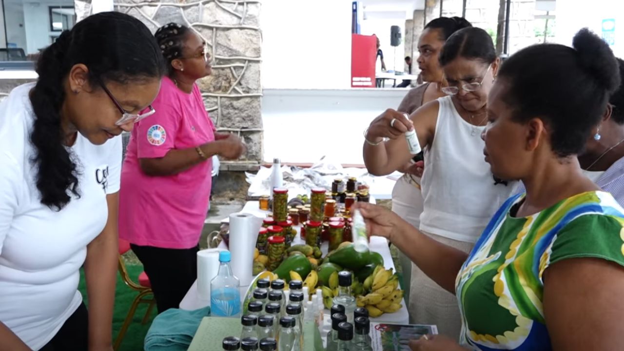 Biro Premyer Dam ek UNDP ti organiz en bazar kot UNDP House, Bel Eau pou prezant prodwi fer par bann madanm talante.