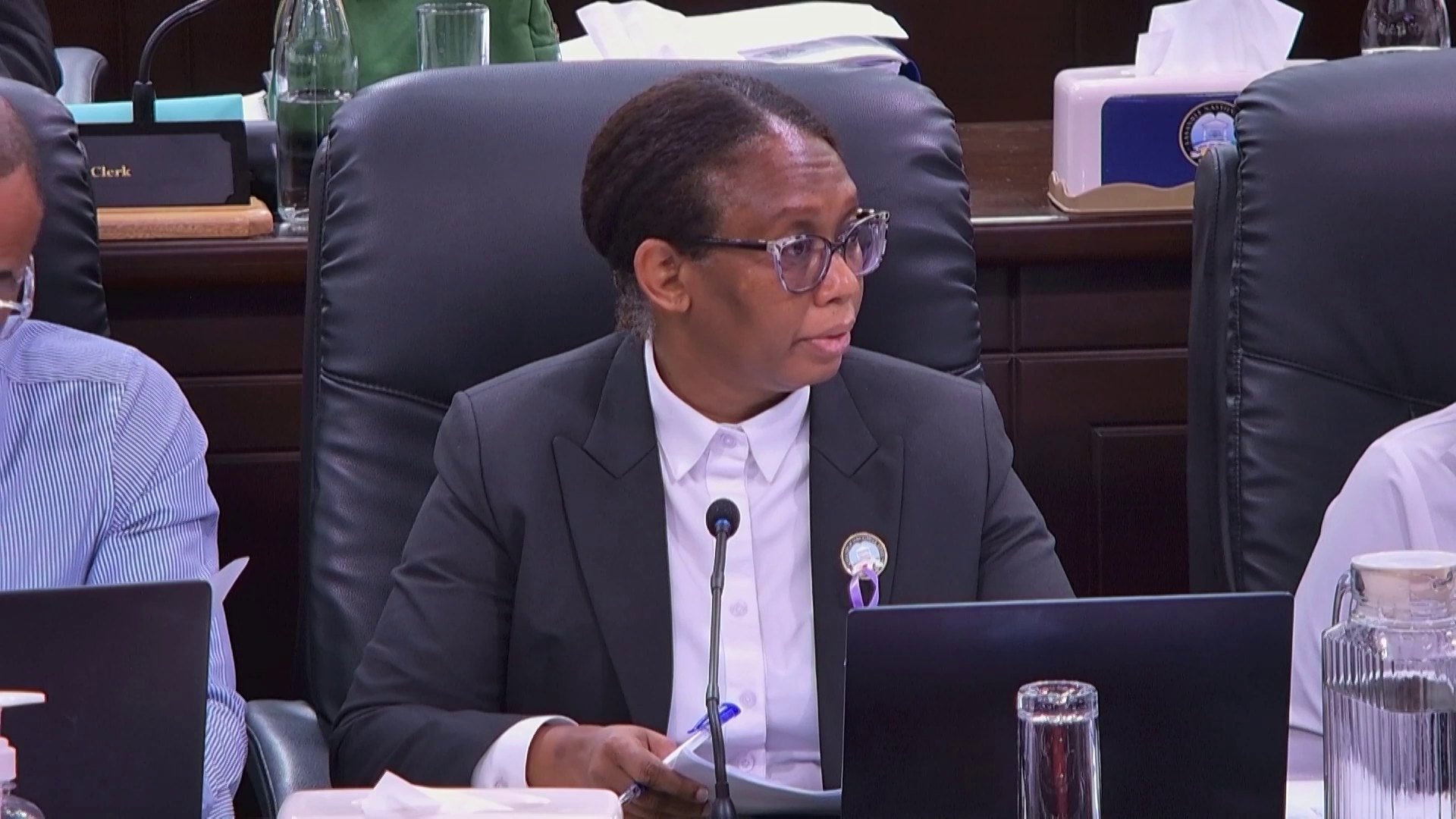 Lasanble Nasyonal i’n aprouv son prop bidze pour en sonm plis ki 55 milyon 433 mil roupi.