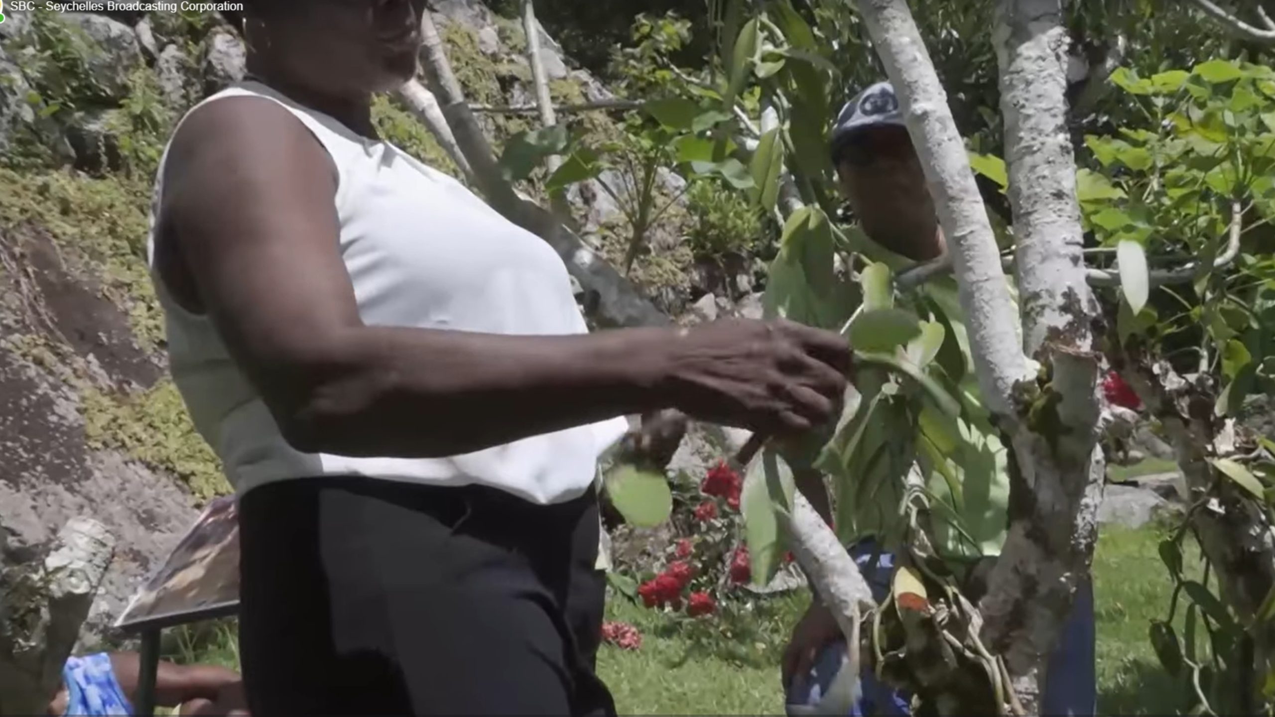 Departman Lagrikiltir in demar en proze pou ankouraz kiltivasyon Lavannir dan pei.