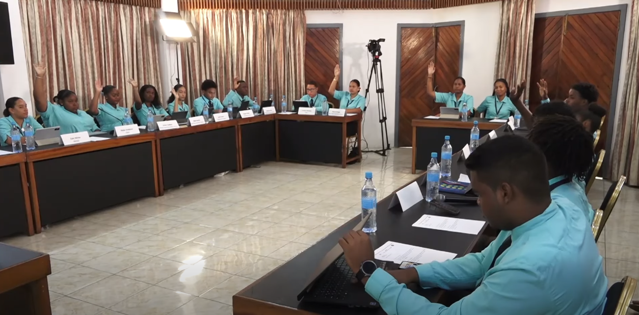 Toulezan, i annan en group etidyan ki ganny elekte pou reprezant zot lekol dan Lasanble Nasyonal Lazenes (SNYA).