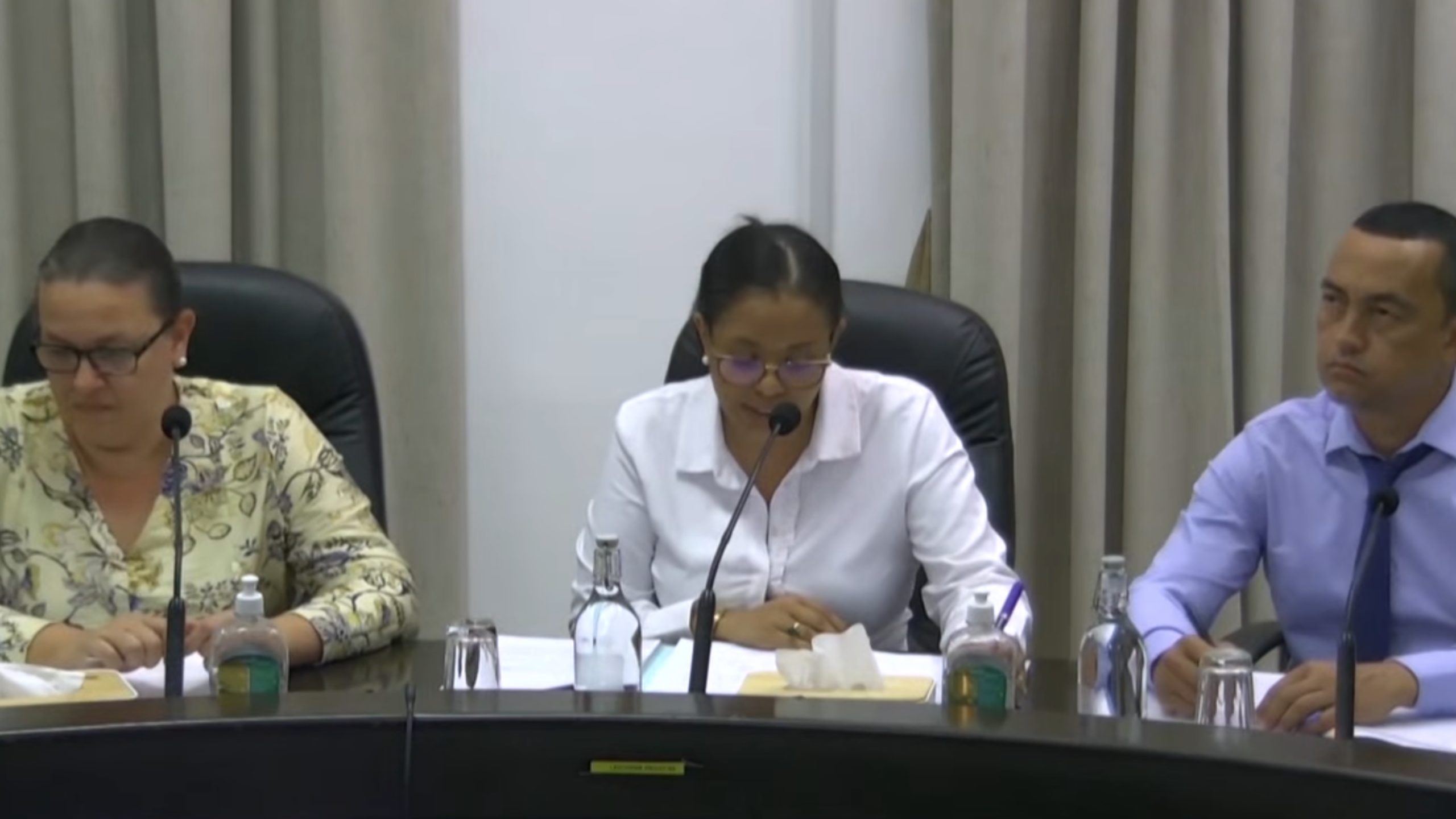 Bann zofisye minister ki responsab pour tourizm ti prezan pour reponn kestyon bann manm FPAC.