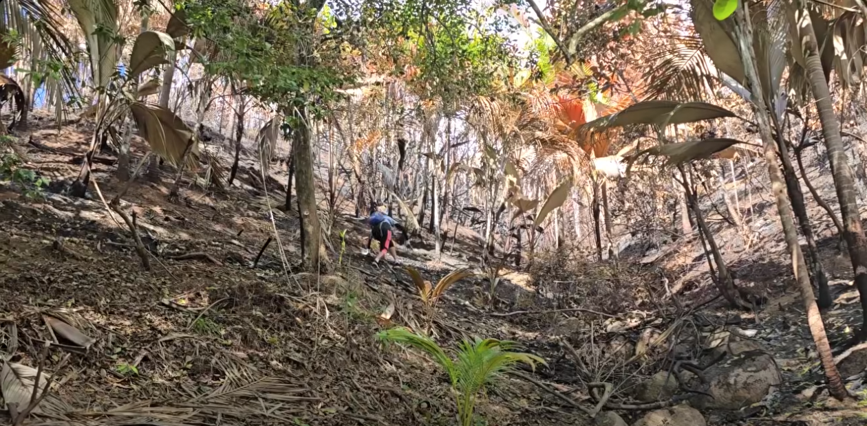 De zour apre lensidan dife lo Montanny Fon Azore, Baie Ste Anne Praslin, zofisye lanvironnman ti fer letour sa montanny antye kot dife in pran pour enspekte lakantite dega ki sa dife in fer.