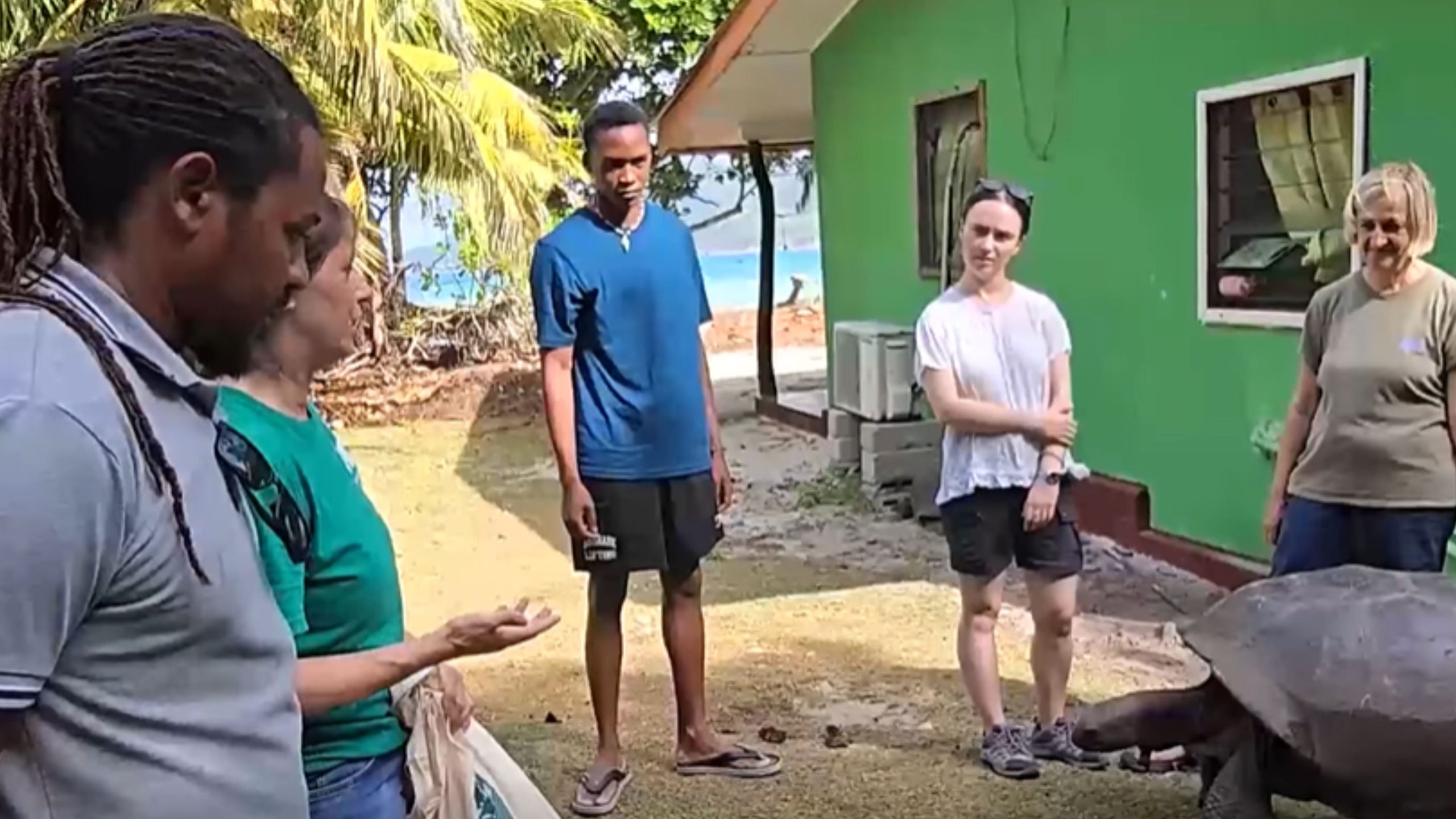 Open nature Foundation’ pe kontiny en resers syantifik lo lasante bann torti.