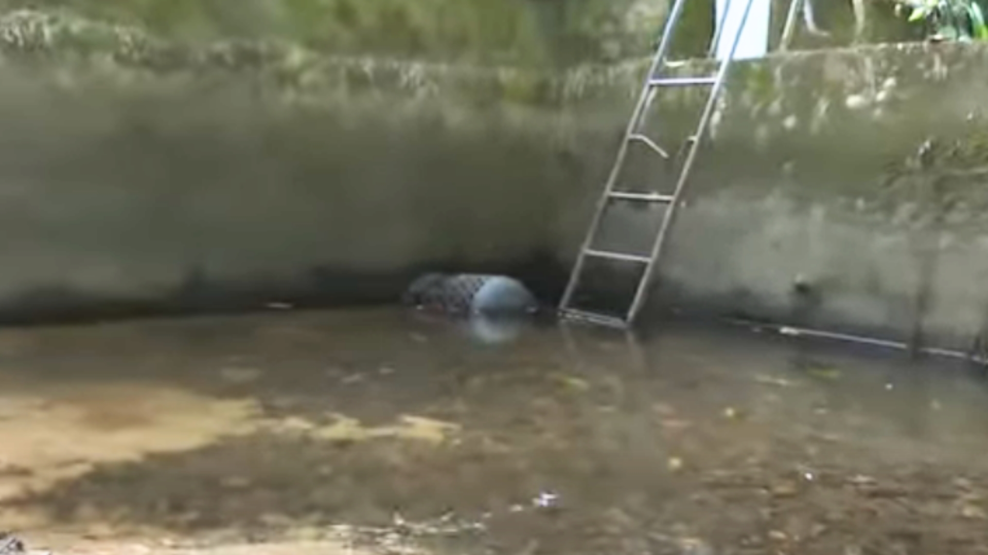 PUC pe kontinyen met diferan mezir an plas pou satisfer demann delo avek popilasyon.