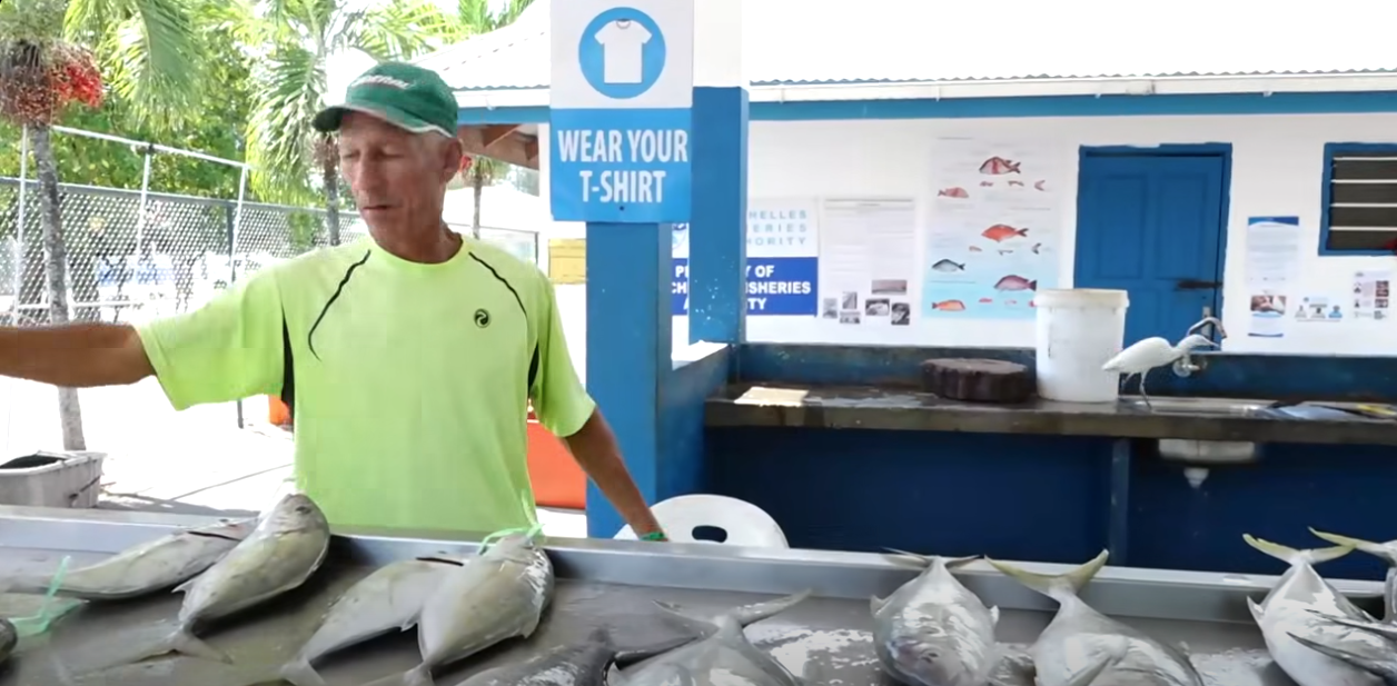 Menm si Sesel i dan sezon vanswet , safwasi in en sezon kot in kontinnyelman annan bokou pwason lo bann bazar atraver pei. Menm si Sesel i dan sezon vanswet , safwasi in en sezon kot in kontinnyelman annan bokou pwason lo bann bazar atraver pei.