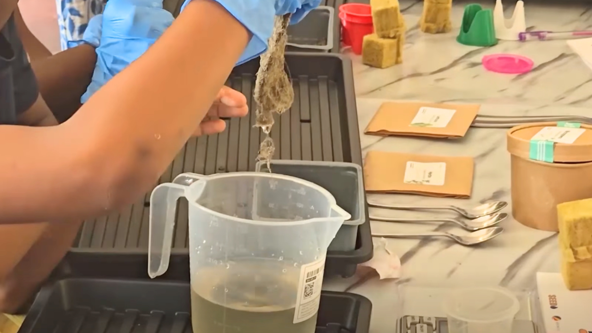 Lekol primer Baie Ste Anne in ganny en pti younit ‘hydroponic’ pour bann etidyan aprann plis lo sa form lagrikiltir.