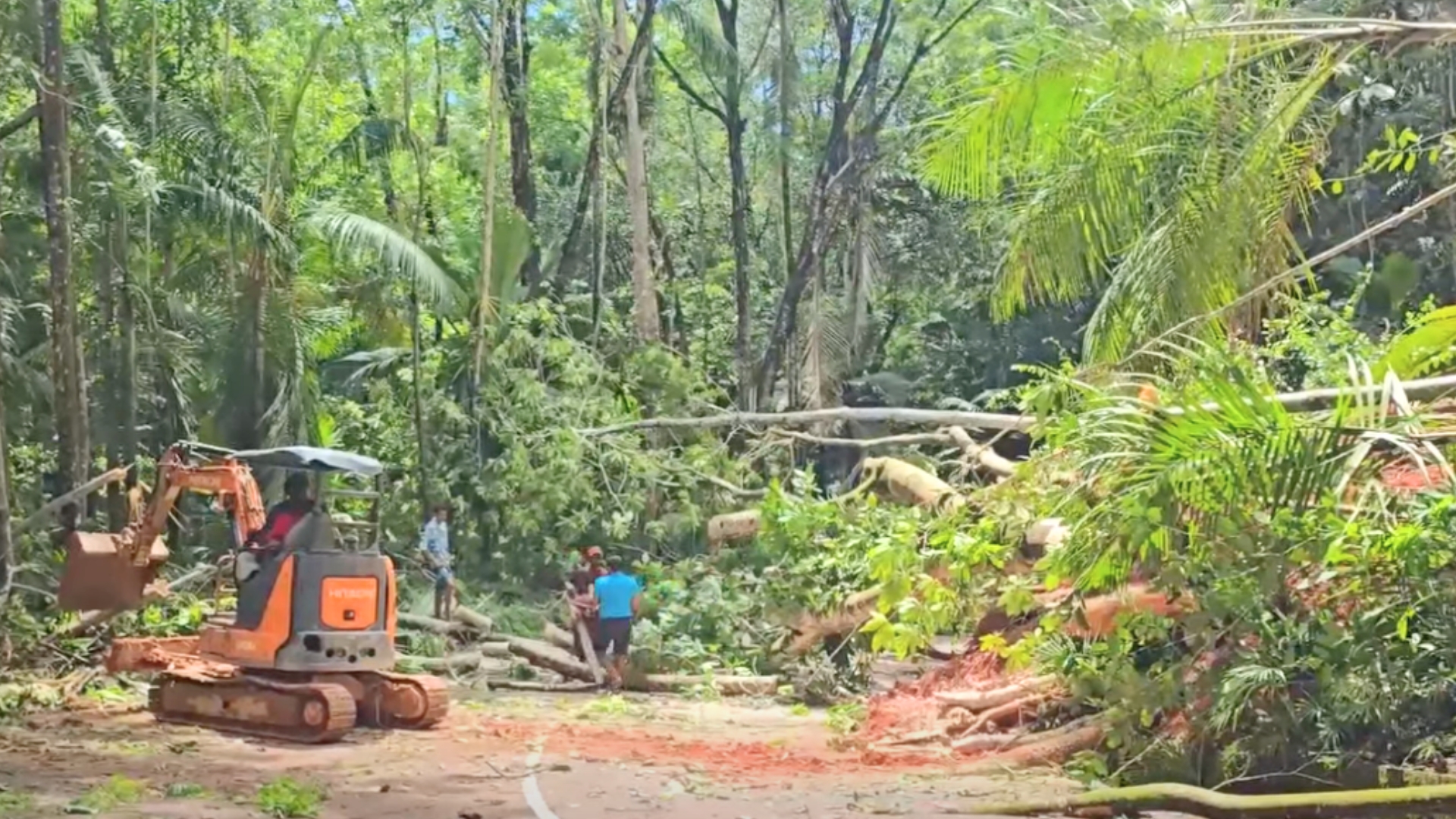 Semen Vallée de Mai, Praslin i reste fermen.